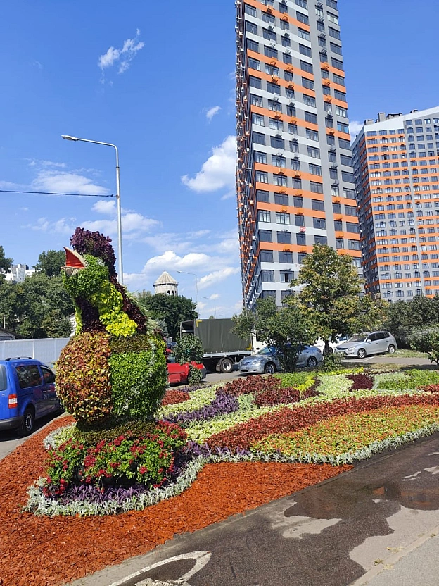 🌸До Дня Незалежності Київ розквітнув у патріотичних барвах🌻🇺🇦До святкування 34-ї річниці Незалежності в усіх районах столиці з... - КМДА – офіційний канал на we.ua