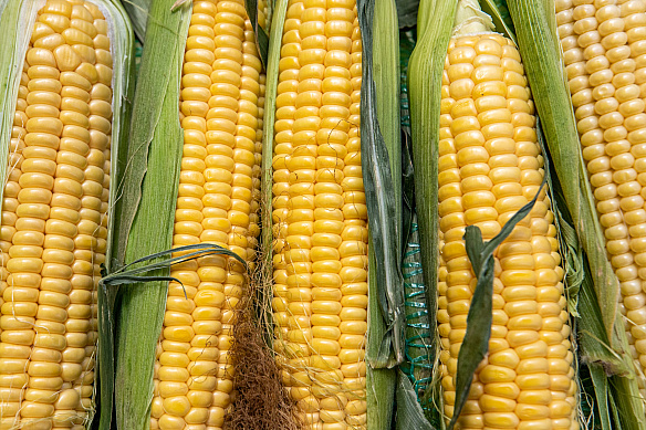🛒У Києві з 26 до 31 серпня відбудуться продуктові сільськогосподарські ярмарки📍Локації – на сайті kyivcity.gov.ua.🌡Нагадаємо... - КМДА – офіційний канал на we.ua