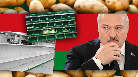 🇧🇾🥔❌У Білорусі зник «другий хліб»Раніше Лукашенка принизливо називали ″Бульбафюрер″. Але своєю бездарною економічною політикою ... - Ціна Держави на we.ua