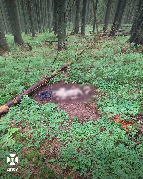 На україно-румунському кордоні виявили рештки двох людейПід час патрулювання прикордонники натрапили на фрагменти пошкодженого... - UkraineNow на we.ua