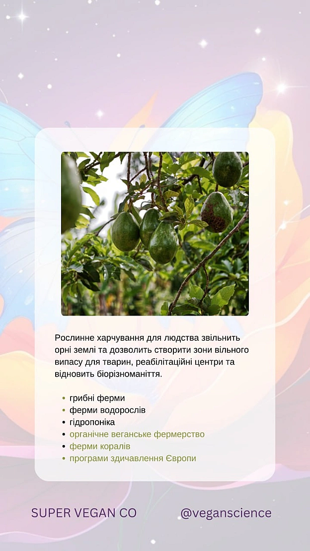 Веганське фермерство та відновлення природи. Частина 2Етичне фермерство та його гарантіїОрганічне веганське фермерство уникає... - 🚀 Веганка: наука та інновації на we.ua