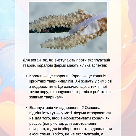 Веганське фермерство та відновлення природи. Частина 2

Етичне фермерство та його гарантії
Органічне веганське фермерство уникає... - 🚀 Веганка: наука та інновації on weua.dev