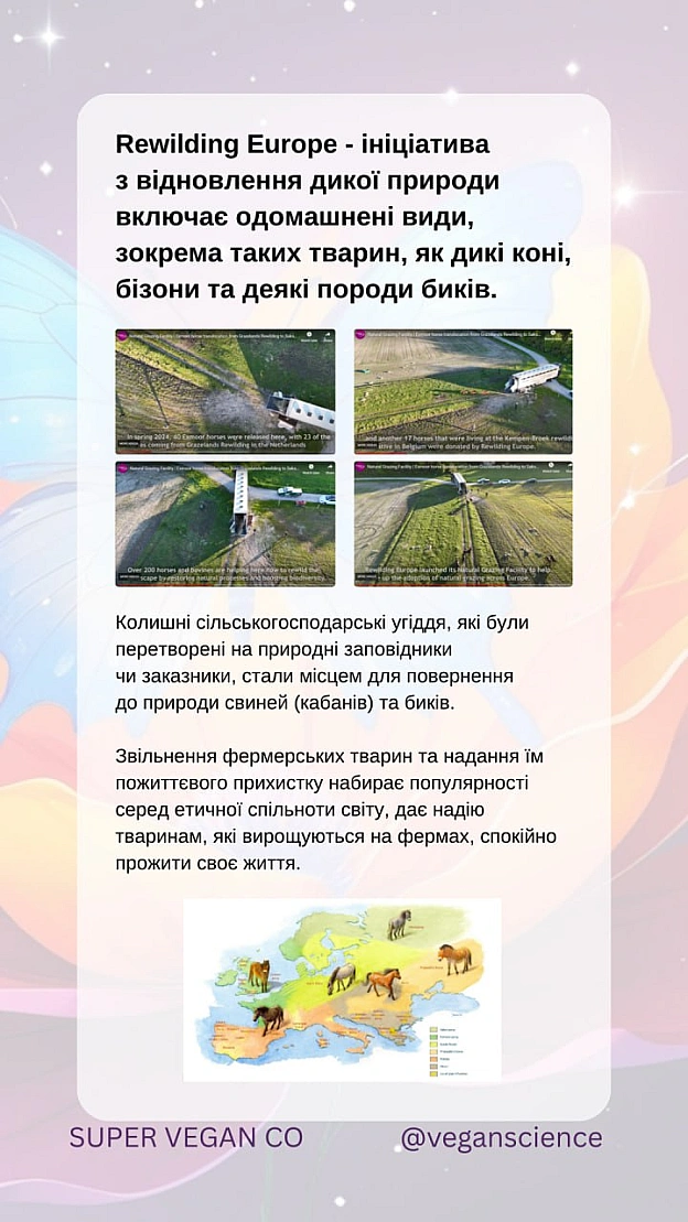 Веганське фермерство та відновлення природи. Частина 2Етичне фермерство та його гарантіїОрганічне веганське фермерство уникає... - 🚀 Веганка: наука та інновації на we.ua