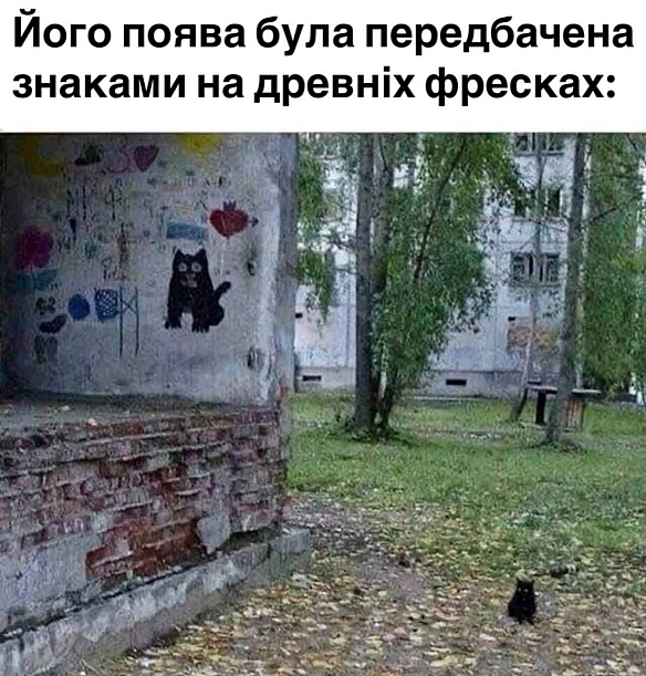 Баба і Кіт на we.ua