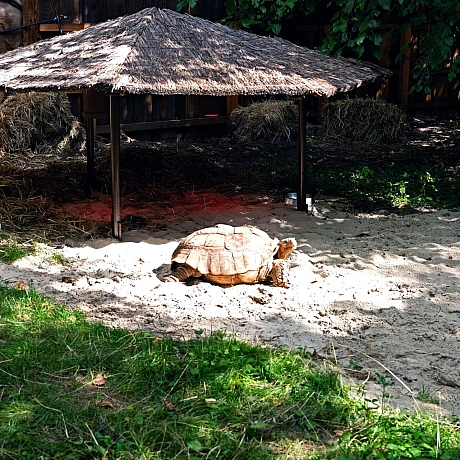 КМДА – офіційний канал на we.ua