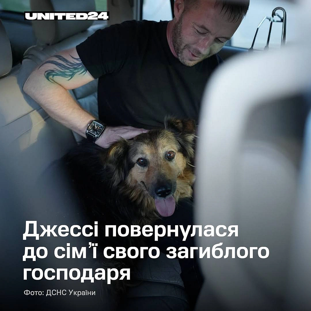 Собака Джессі, що чекала на господаря серед руїн після російської атаки в Києві, знайшла дім. Спочатку її прихистили рятувальн... - UNITED24 на we.ua