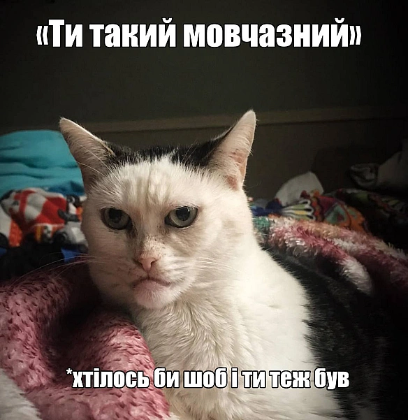 Баба і Кіт на we.ua