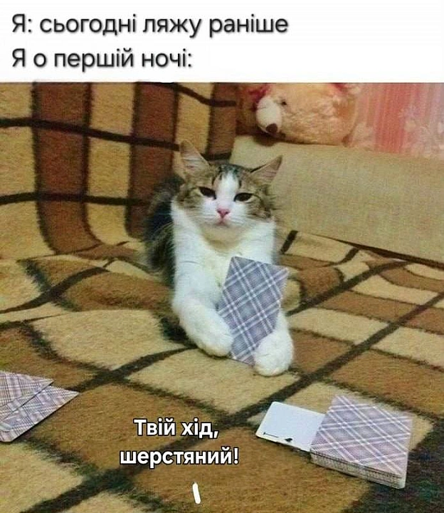 Баба і Кіт на we.ua
