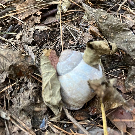 Куточок творчості АлРін на weua.dev