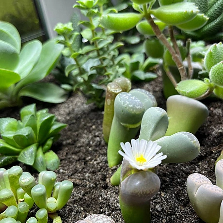 Куточок творчості АлРін на weua.dev