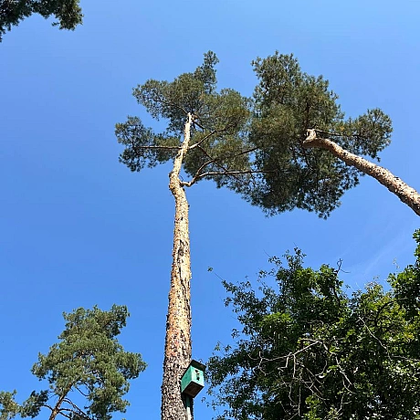 Куточок творчості АлРін на weua.dev