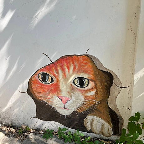 Куточок творчості АлРін на weua.dev