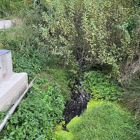 Куточок творчості АлРін на weua.dev