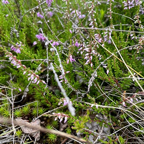 Одного разу моя вчителька математики попросила весь клас вийти на вулицю і прогулятись з нею навколо школи. 
«Як давно ви поміча... - Куточок творчості АлРін на weua.dev