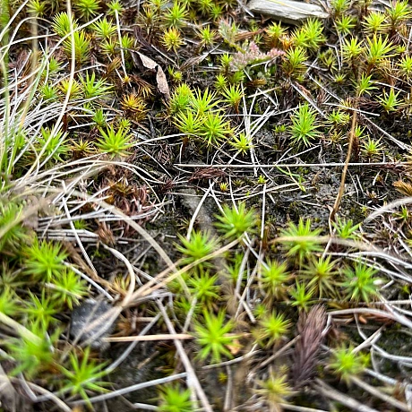 Одного разу моя вчителька математики попросила весь клас вийти на вулицю і прогулятись з нею навколо школи. 
«Як давно ви поміча... - Куточок творчості АлРін на weua.dev