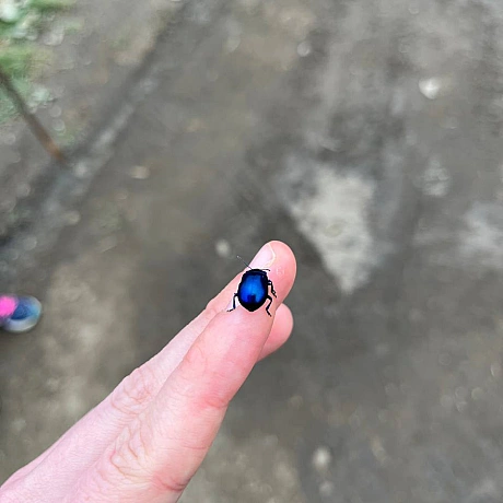 Одного разу моя вчителька математики попросила весь клас вийти на вулицю і прогулятись з нею навколо школи. 
«Як давно ви поміча... - Куточок творчості АлРін на weua.dev