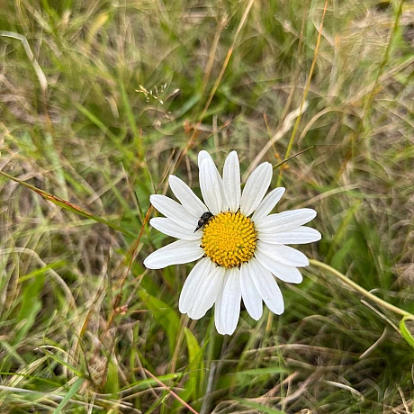 Одного разу моя вчителька математики попросила весь клас вийти на вулицю і прогулятись з нею навколо школи. 
«Як давно ви поміча... - Куточок творчості АлРін на weua.dev