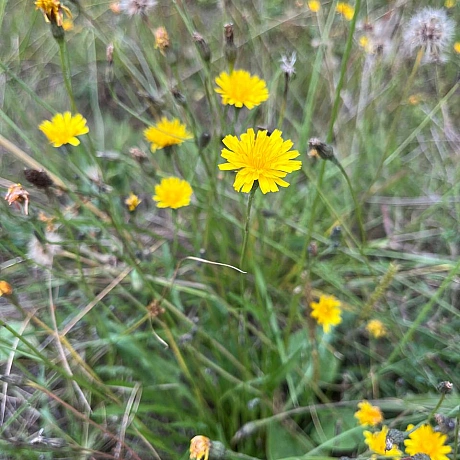 Одного разу моя вчителька математики попросила весь клас вийти на вулицю і прогулятись з нею навколо школи. 
«Як давно ви поміча... - Куточок творчості АлРін на weua.dev