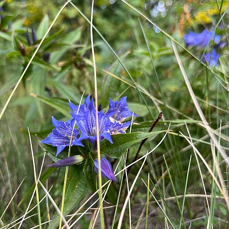 Одного разу моя вчителька математики попросила весь клас вийти на вулицю і прогулятись з нею навколо школи. 
«Як давно ви поміча... - Куточок творчості АлРін на weua.dev