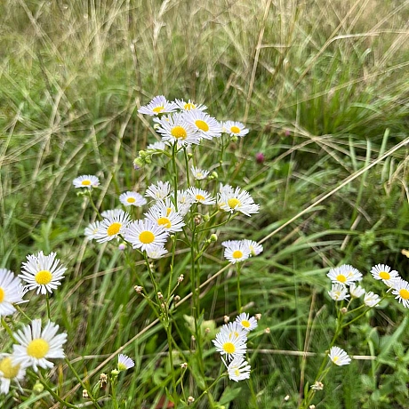 Одного разу моя вчителька математики попросила весь клас вийти на вулицю і прогулятись з нею навколо школи. 
«Як давно ви поміча... - Куточок творчості АлРін на weua.dev