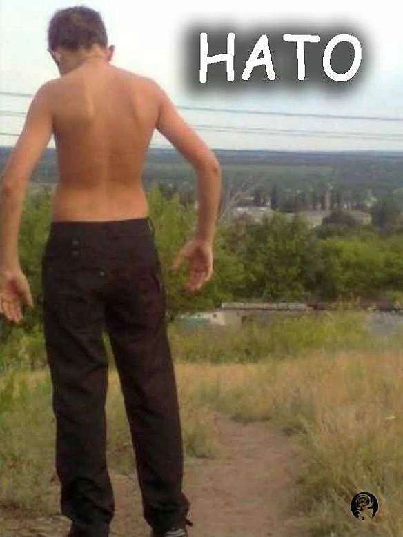 ЗСУ прибудуть в навчальний центр НАТО, аби навчити нас збивати дрони. Бо в Україну їхати польським військовим небезпечно, - глав... - МЕМАГРАМ on we.ua