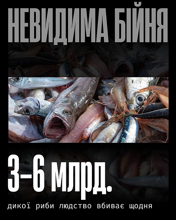 Риб часто навіть не вважають тваринами. Їх не захищає законодавство, яке регулює «гуманність» забою ссавців чи птахів. Але саме ... - Кожна тварина на we.ua