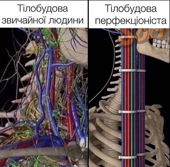 Кардинальний Рішельє on we.ua