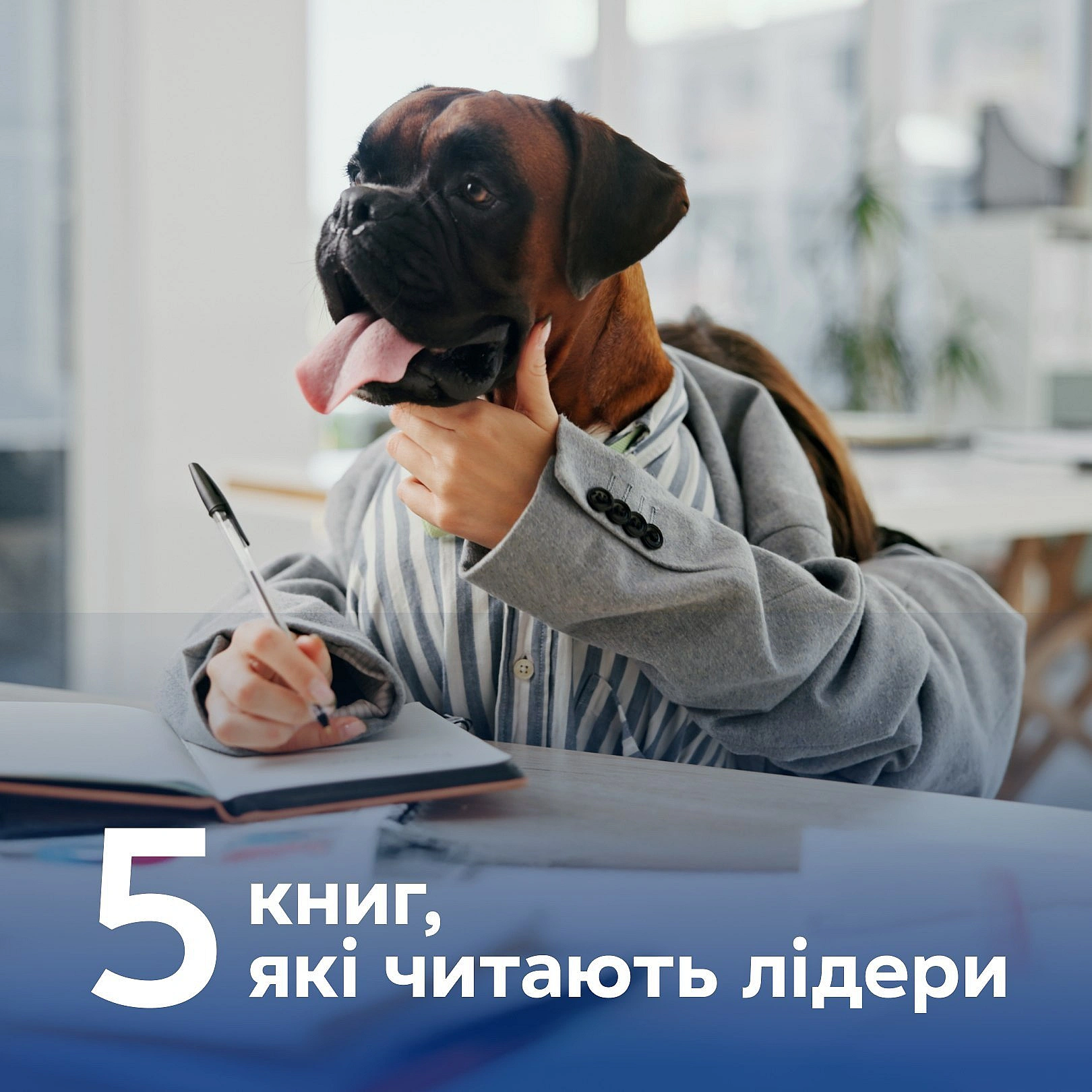 Як стати успішними та продуктивними лише за 5 книг? Наші друзі з Kyivstar Business Hub підготували добірку бізнес-літератури, як... - Ціна Держави on we.ua