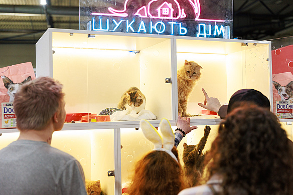 🐾4 та 5 жовтня в Міжнародному виставковому центрі – Дні адопції тваринЦе шанс знайти дім для чотирилапих, які чекають на любля... - КМДА – офіційний канал on we.ua