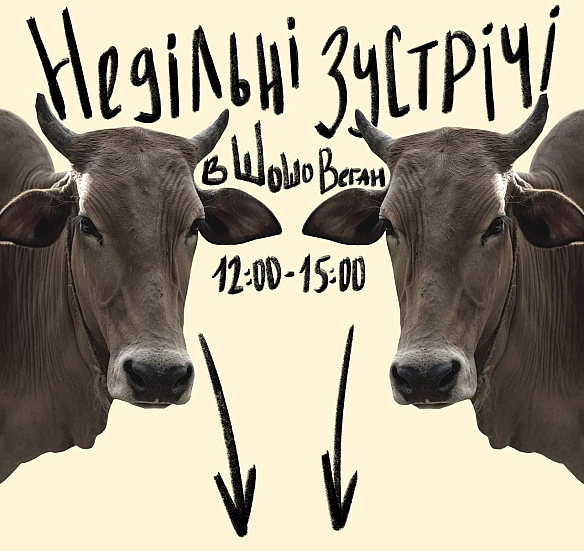 Київські зустрічі веганської спільноти, тримай зв'язок із @darka_khyzha - 🚀 Веганка: наука та інновації на weua.dev