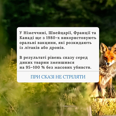 Вакцинація дикої фауни (ORV) та програми TAVR/TNR (Відлов-Стерилізація-Вакцинація-Повернення) є стабільнішими та етичнішими, ніж... - 🚀 Веганка: наука та інновації на weua.dev