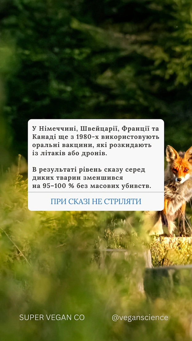 Вакцинація дикої фауни (ORV) та програми TAVR/TNR (Відлов-Стерилізація-Вакцинація-Повернення) є стабільнішими та етичнішими, ніж... - 🚀 Веганка: наука та інновації on we.ua