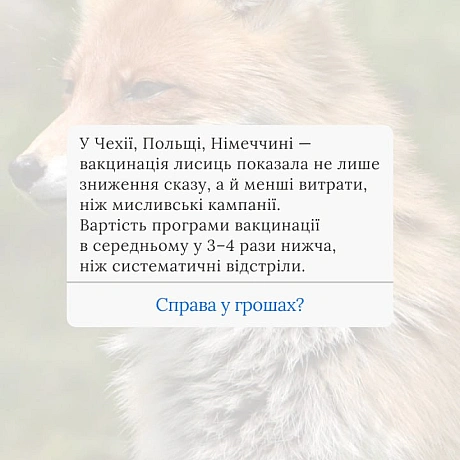 Вакцинація дикої фауни (ORV) та програми TAVR/TNR (Відлов-Стерилізація-Вакцинація-Повернення) є стабільнішими та етичнішими, ніж... - 🚀 Веганка: наука та інновації на weua.dev