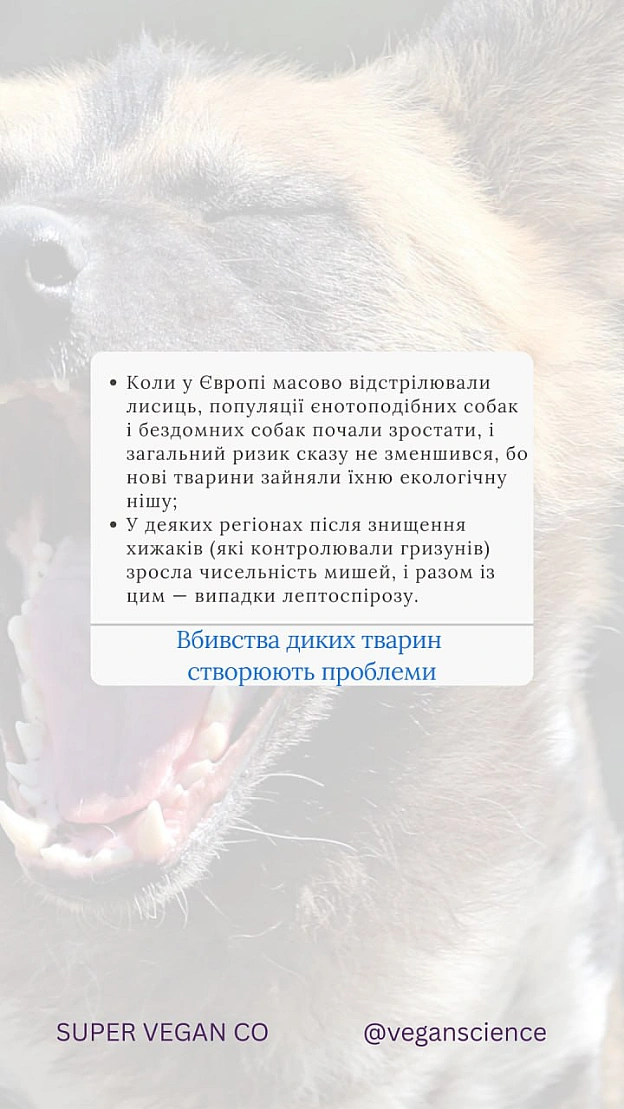 Вакцинація дикої фауни (ORV) та програми TAVR/TNR (Відлов-Стерилізація-Вакцинація-Повернення) є стабільнішими та етичнішими, ніж... - 🚀 Веганка: наука та інновації on we.ua