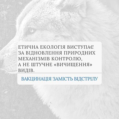 Вакцинація дикої фауни (ORV) та програми TAVR/TNR (Відлов-Стерилізація-Вакцинація-Повернення) є стабільнішими та етичнішими, ніж... - 🚀 Веганка: наука та інновації на weua.dev