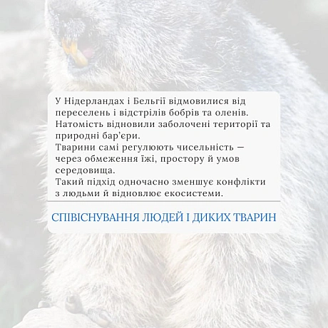 Вакцинація дикої фауни (ORV) та програми TAVR/TNR (Відлов-Стерилізація-Вакцинація-Повернення) є стабільнішими та етичнішими, ніж... - 🚀 Веганка: наука та інновації на weua.dev