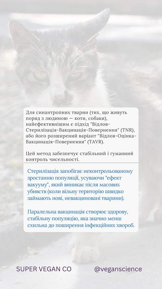 Вакцинація дикої фауни (ORV) та програми TAVR/TNR (Відлов-Стерилізація-Вакцинація-Повернення) є стабільнішими та етичнішими, ніж... - 🚀 Веганка: наука та інновації on we.ua