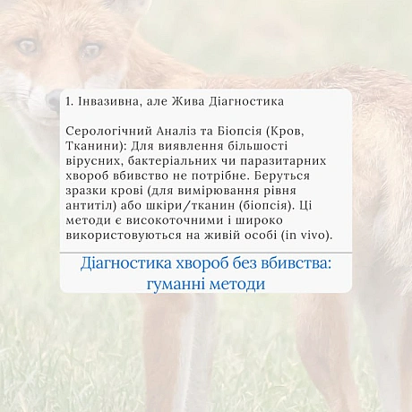 Вакцинація дикої фауни (ORV) та програми TAVR/TNR (Відлов-Стерилізація-Вакцинація-Повернення) є стабільнішими та етичнішими, ніж... - 🚀 Веганка: наука та інновації на weua.dev