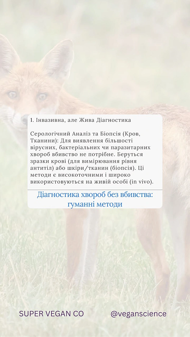 Вакцинація дикої фауни (ORV) та програми TAVR/TNR (Відлов-Стерилізація-Вакцинація-Повернення) є стабільнішими та етичнішими, ніж... - 🚀 Веганка: наука та інновації on we.ua