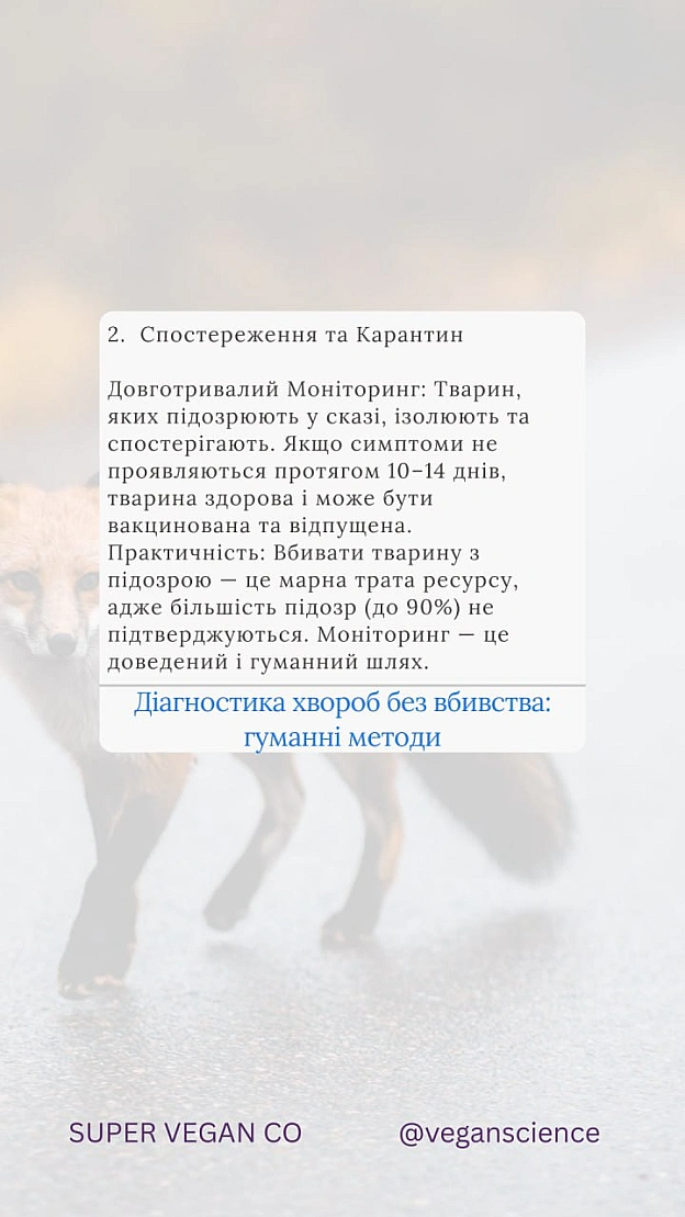 Вакцинація дикої фауни (ORV) та програми TAVR/TNR (Відлов-Стерилізація-Вакцинація-Повернення) є стабільнішими та етичнішими, ніж... - 🚀 Веганка: наука та інновації on we.ua