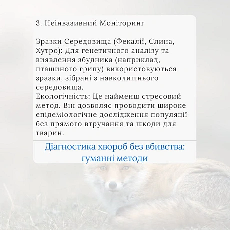 Вакцинація дикої фауни (ORV) та програми TAVR/TNR (Відлов-Стерилізація-Вакцинація-Повернення) є стабільнішими та етичнішими, ніж... - 🚀 Веганка: наука та інновації на weua.dev