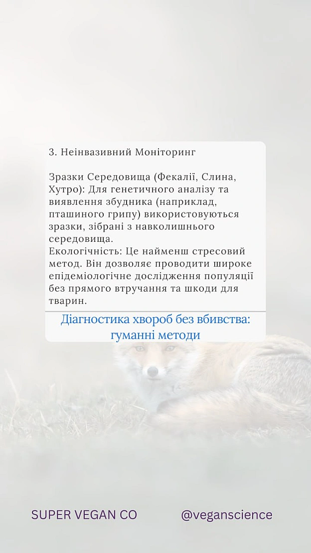Вакцинація дикої фауни (ORV) та програми TAVR/TNR (Відлов-Стерилізація-Вакцинація-Повернення) є стабільнішими та етичнішими, ніж... - 🚀 Веганка: наука та інновації on we.ua