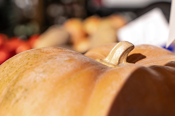 🛒У столиці з 28 жовтня до 2 листопада відбудуться продуктові сільськогосподарські ярмарки📍Локації – на сайті kyivcity.gov.ua.... - КМДА – офіційний канал на we.ua