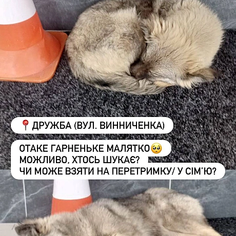 🌱 Веганський Тернопіль on we.ua