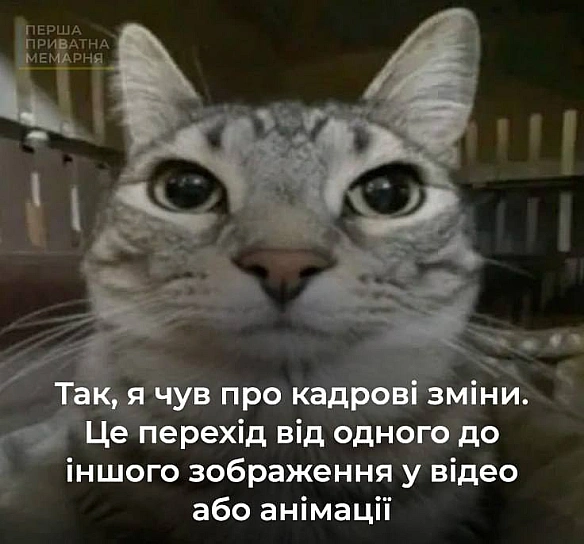 Завтра будуть ще кадрові рішення — Зеленський(c) @privatnamemarnya@memargam - МЕМАГРАМ on we.ua