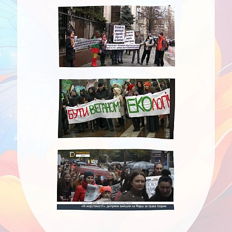 Морква Клуб — це історія людей, дружби й сміливих ідей.
Колись тут народжувалися паради тиші, вуличні акції, фестивалі, розмови ... - 🚀 Веганка: наука та інновації на weua.dev