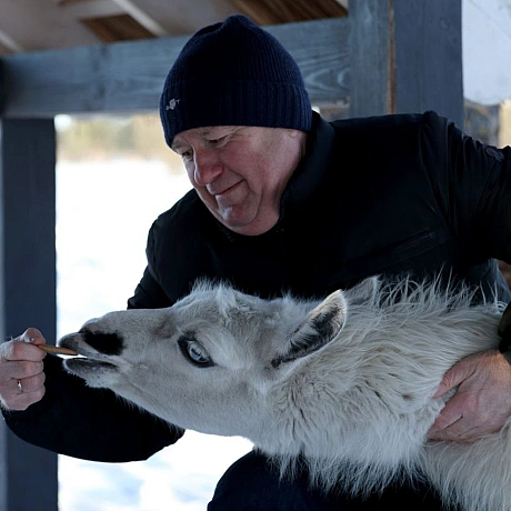 Мешканці Анд в умовах української зимиНизькі температури для лам є природною нормою, оскільки вони походять з високогір’я Анд.... - Репортер інформує on we.ua
