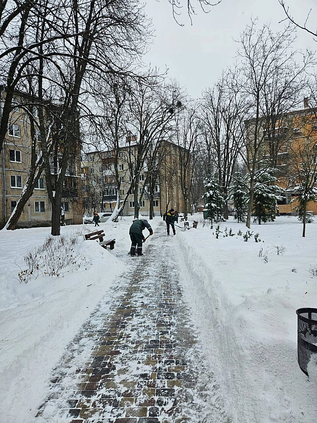 ❄️ Сніг у столиці: 202 одиниці спецтехніки 
