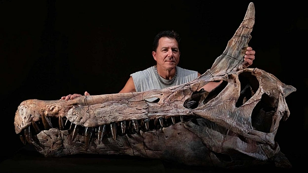 У Сахарі було знайдено новий вид спінозавра, названий Spinosaurus mirabilis. Скам'янілості вказують, що його череп був прикрашен... - WAS на we.ua