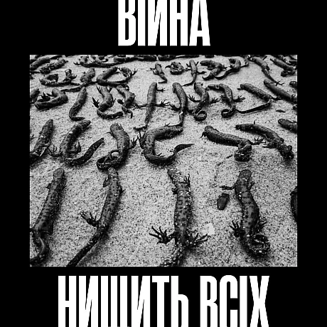 Чотири роки повномасштабної війни, яку росія розпочала проти України.І чотири роки спільного страху — для людей і тварин.Пере... - Кожна тварина on we.ua